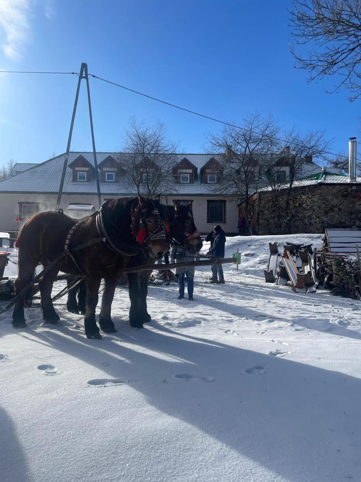 Latarnia Wagabundy Bieszczady Hotel Wola Michowa Buitenkant foto