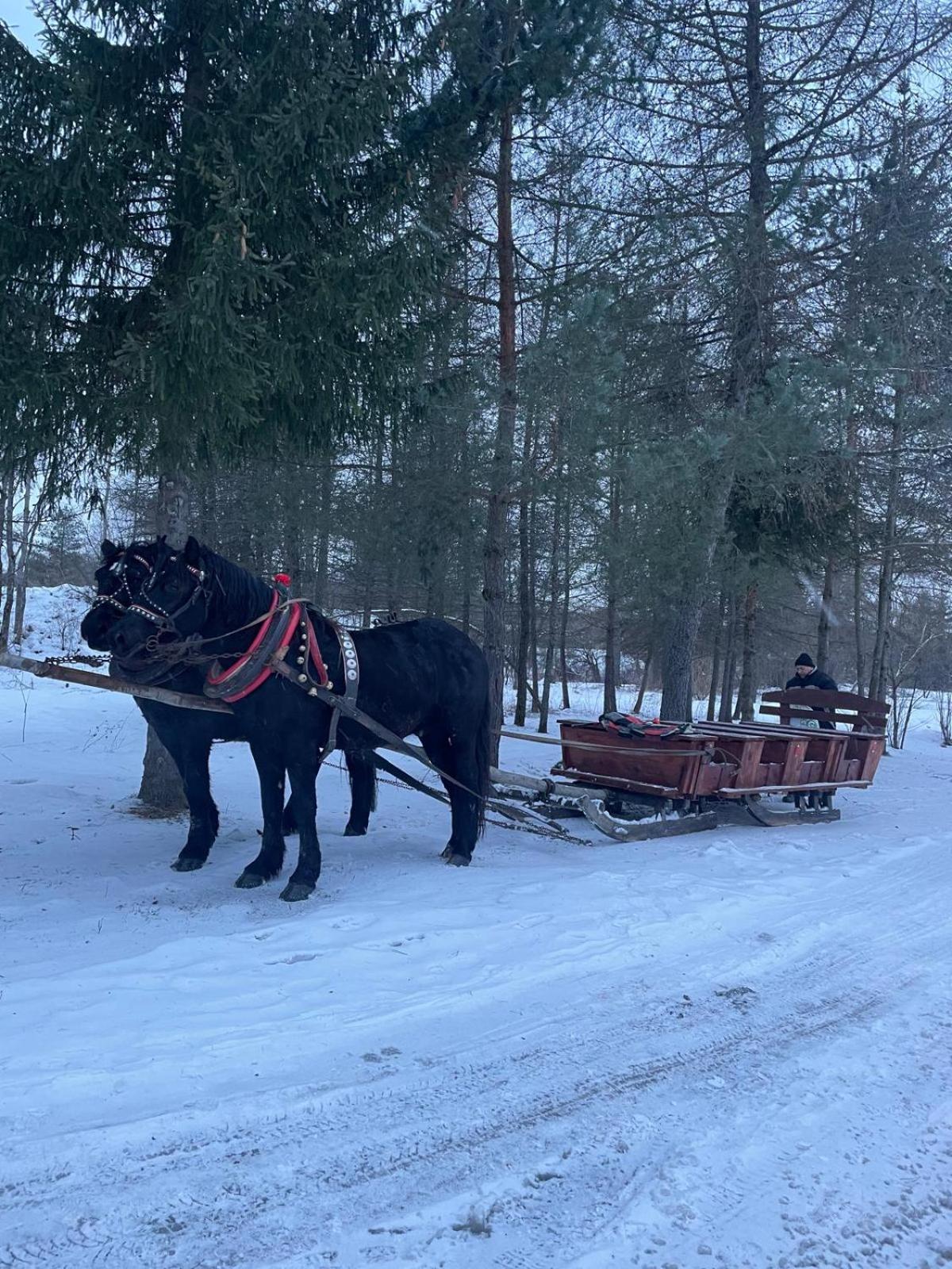 Latarnia Wagabundy Bieszczady Hotel Wola Michowa Buitenkant foto
