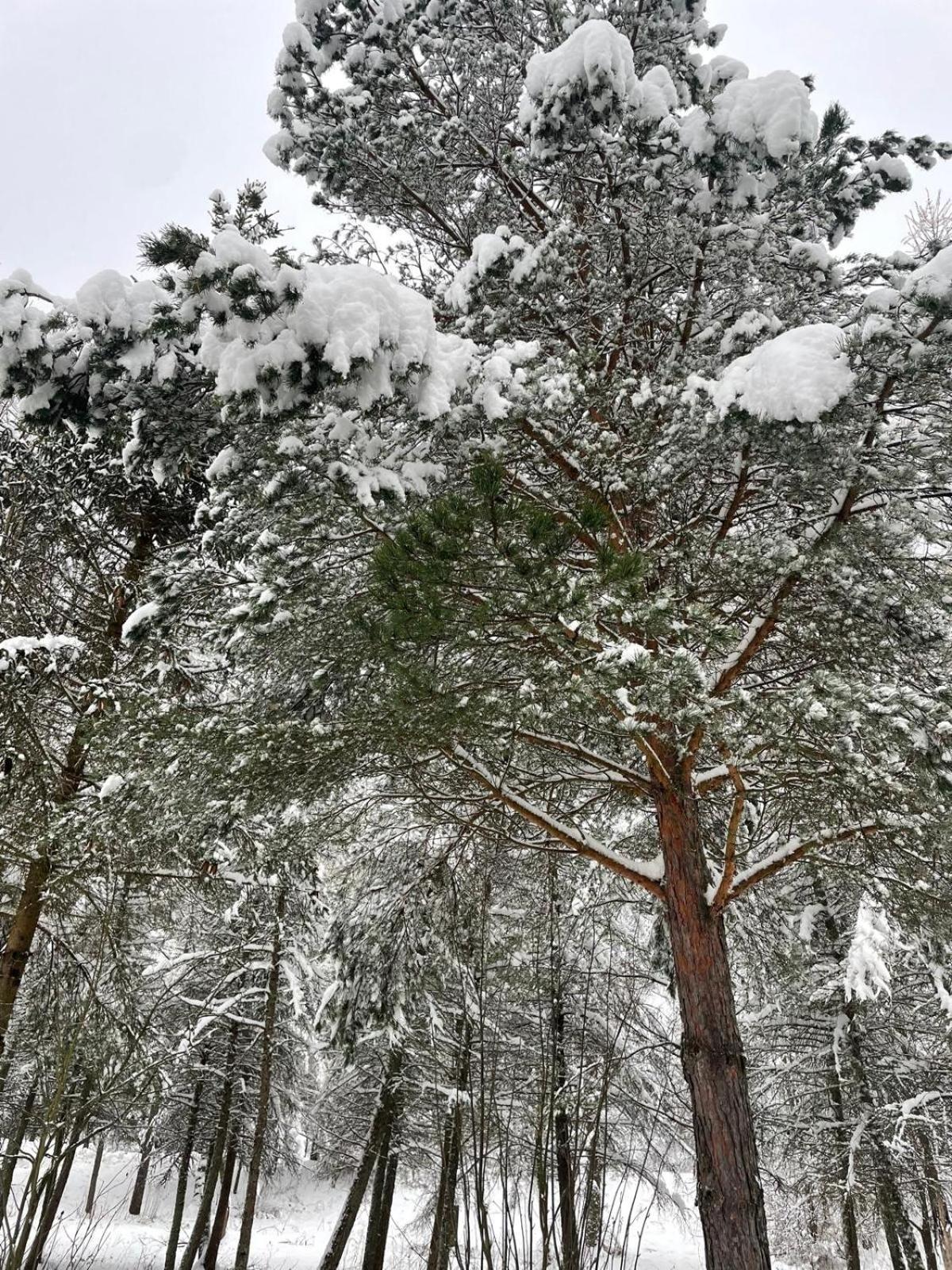 Latarnia Wagabundy Bieszczady Hotel Wola Michowa Buitenkant foto