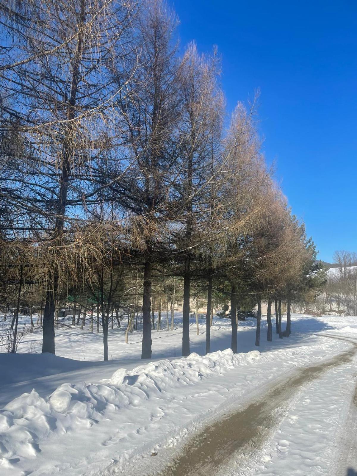Latarnia Wagabundy Bieszczady Hotel Wola Michowa Buitenkant foto