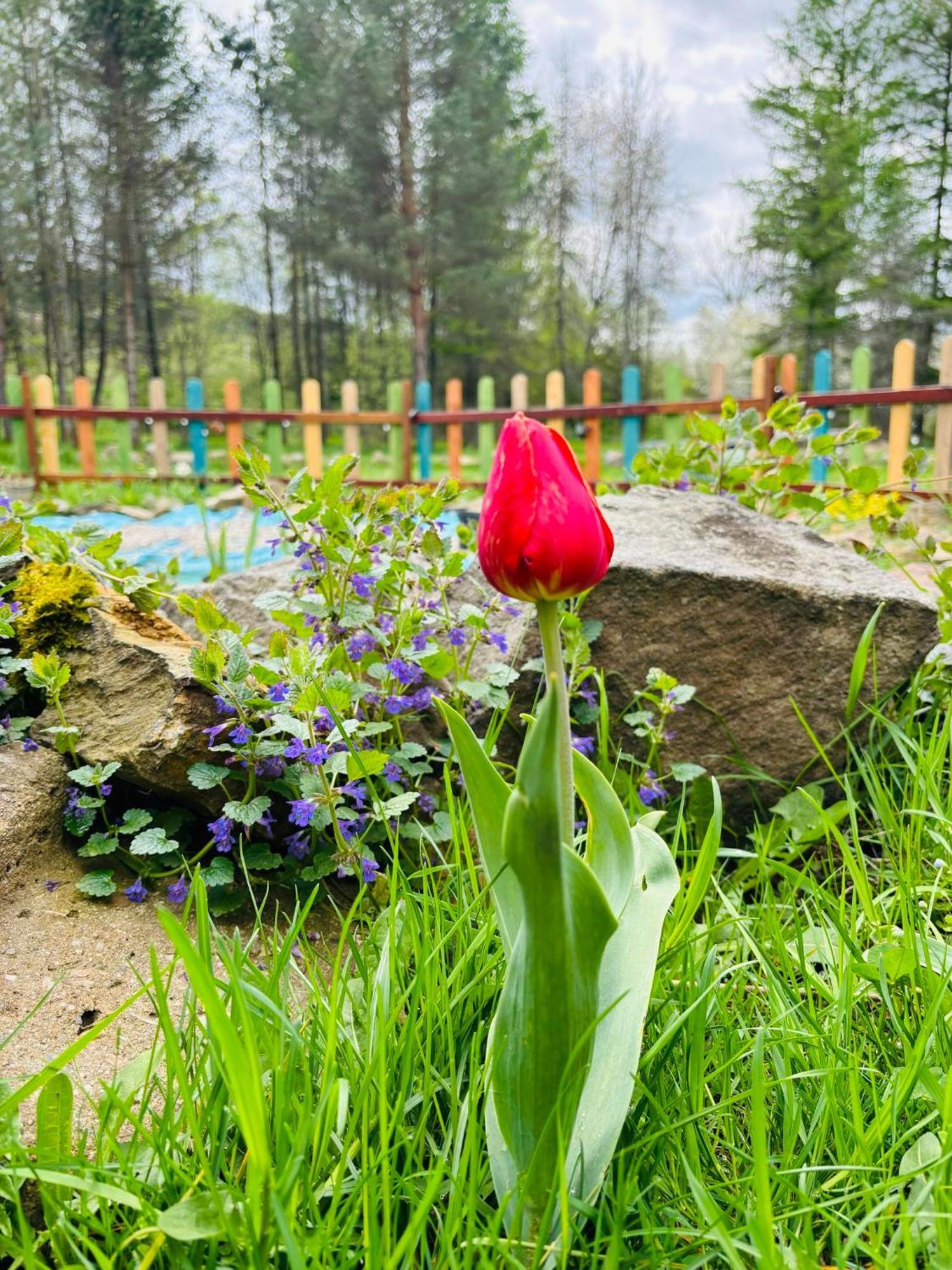 Latarnia Wagabundy Bieszczady Hotel Wola Michowa Buitenkant foto