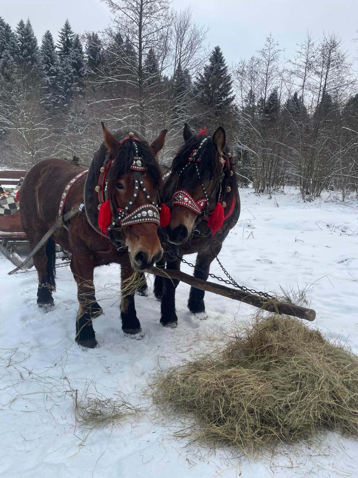 Latarnia Wagabundy Bieszczady Hotel Wola Michowa Buitenkant foto