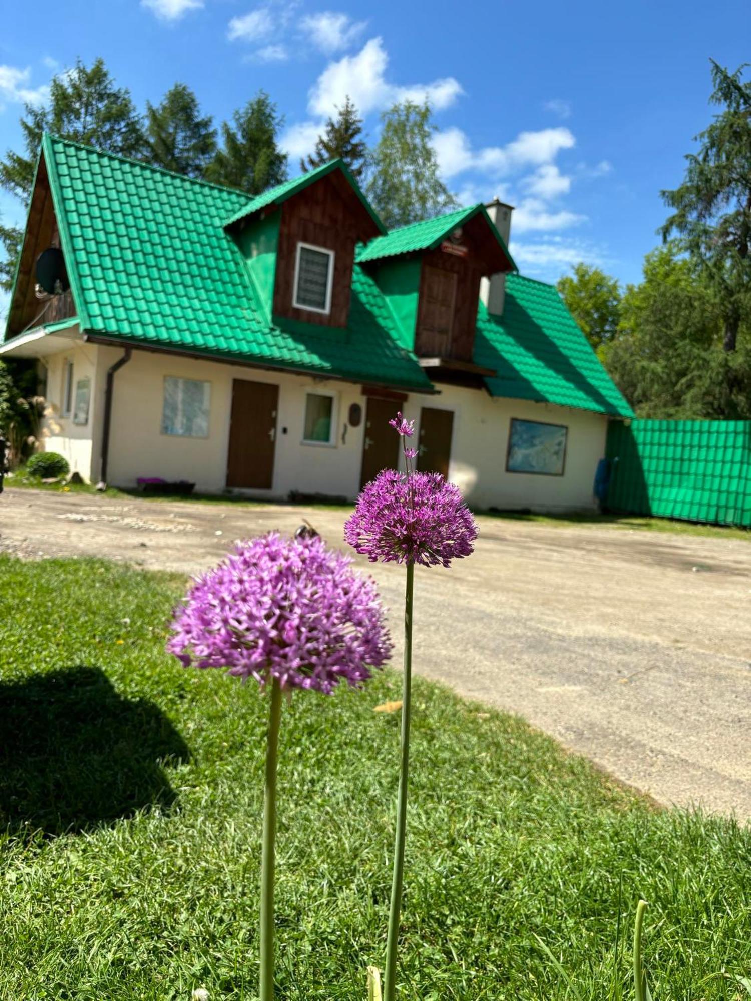 Latarnia Wagabundy Bieszczady Hotel Wola Michowa Buitenkant foto